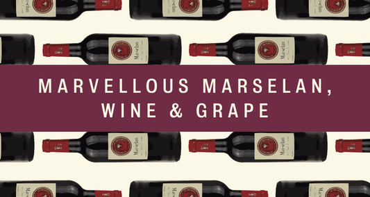 Marvellous Marselan, Wine and Grape - Pierre Hourlier Wines