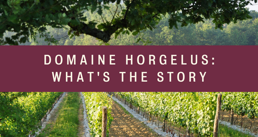 Domaine Horgelus: What's The Story? - Pierre Hourlier Wines