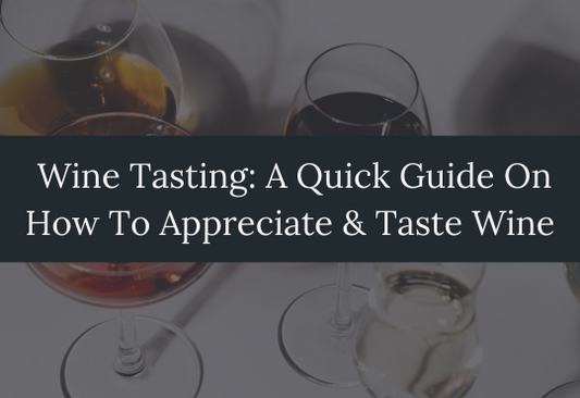 Wine Tasting: A Quick Guide On How To Appreciate and Taste Wine