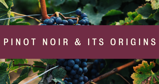 All About The Pinot Noir Grape - Pierre Hourlier Wines