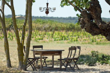 Provence Wine - Buying Guide - Pierre Hourlier Wines