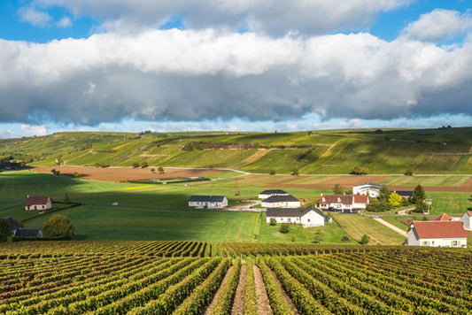 Loire Valley Wine Region - Pierre Hourlier Wines